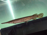 5565d13a.jpg