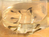 99d456e5.jpg