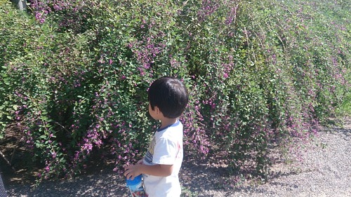5d03f927.jpg