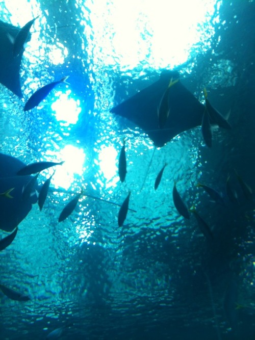 a0330d84.jpg