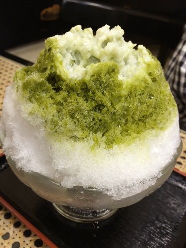 初音茶屋⑨