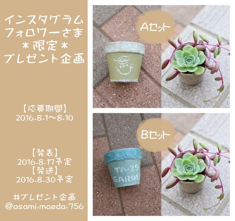プレ企画 インスタ