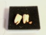 f5d6bc68.jpg
