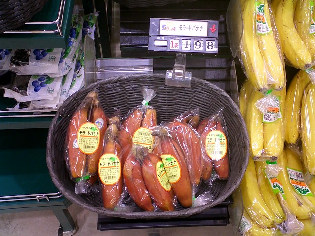 波浪Hiyodori .Inca Hiyodori.容跡Hiyodori 4号 波浪Hiyodori .Inca Hiyodori.容跡Hiyodori 4号 4907f117.jpg