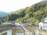 静岡