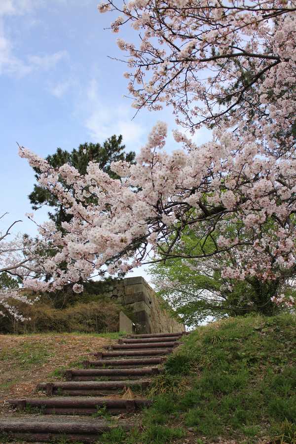 小松城跡 (2)