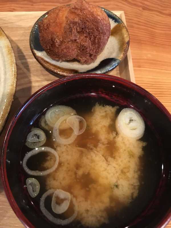 がじゅまる (7)