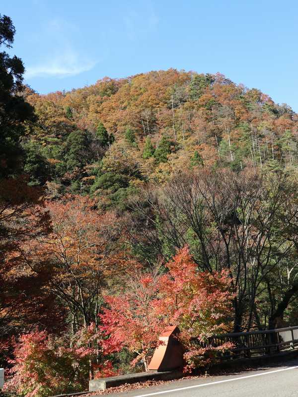 荒俣峡
