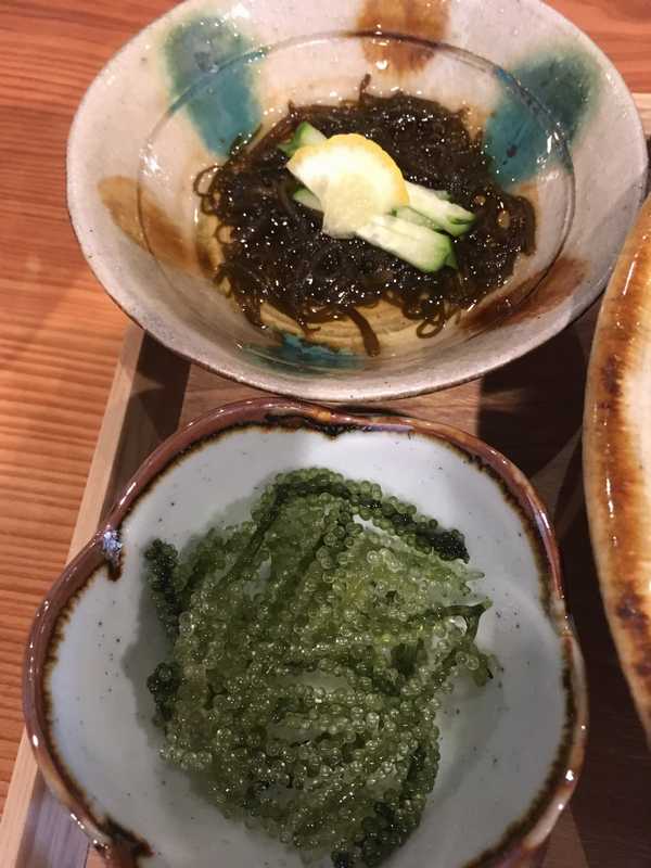 がじゅまる (5)