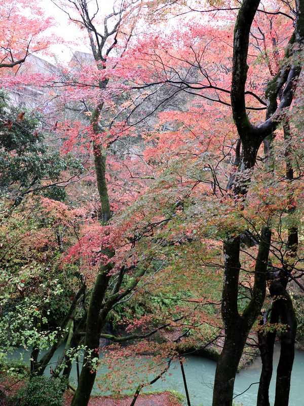 山中温泉 (14)