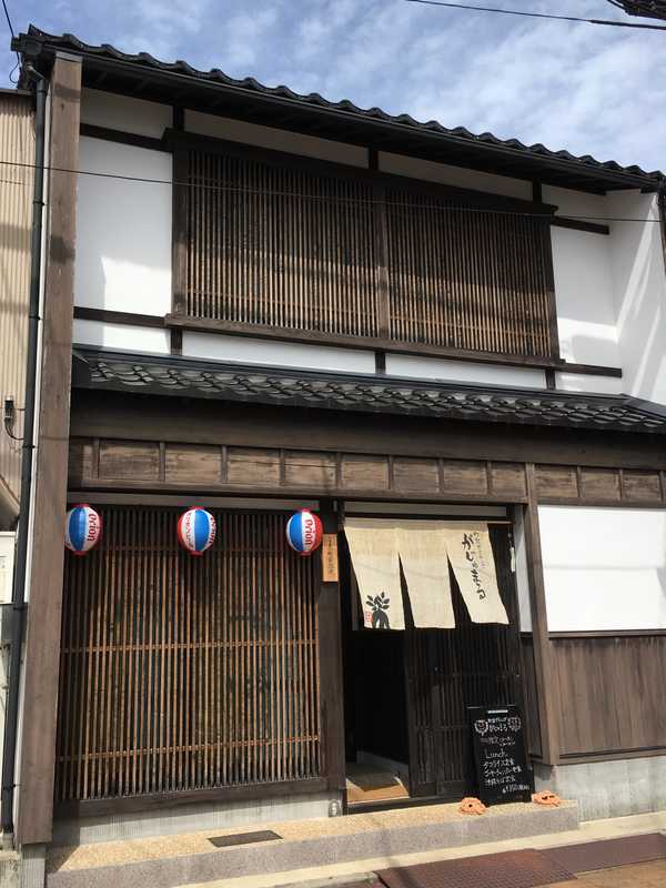 がじゅまる (9)