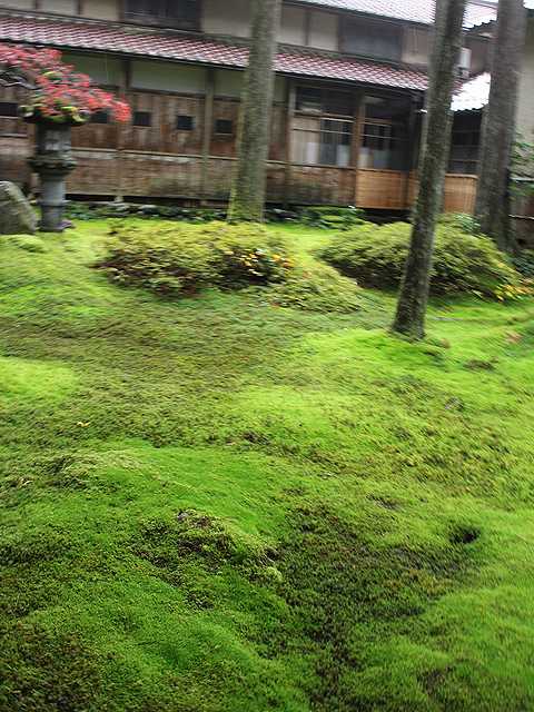 苔の里