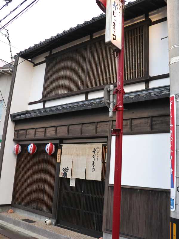 がじゅまる (11)