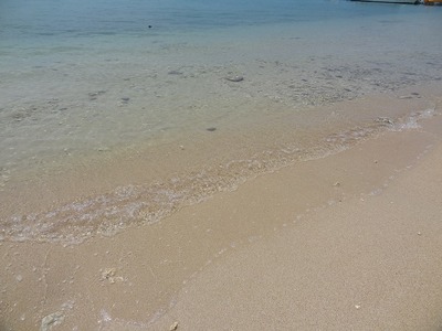 DSC00650