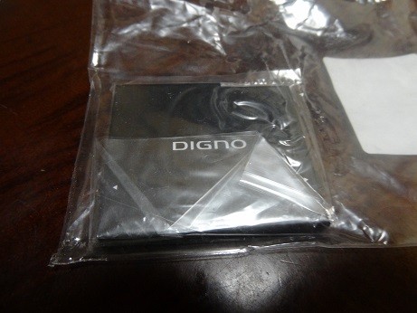 DSC03163