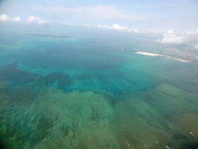 DSC00683