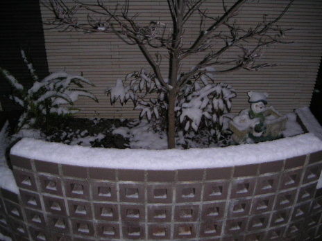 PICT0099