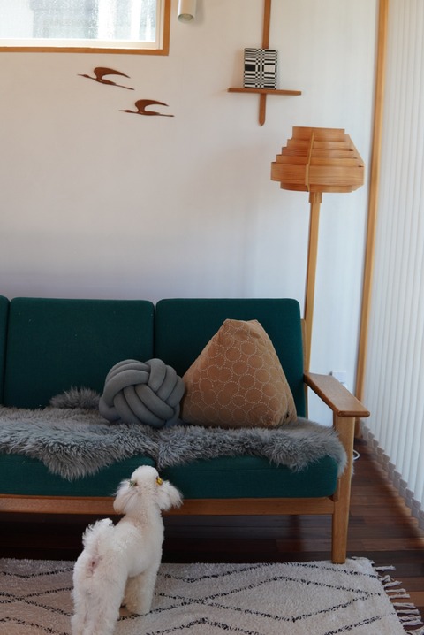LRG_DSC00455