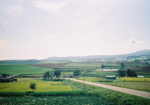 850