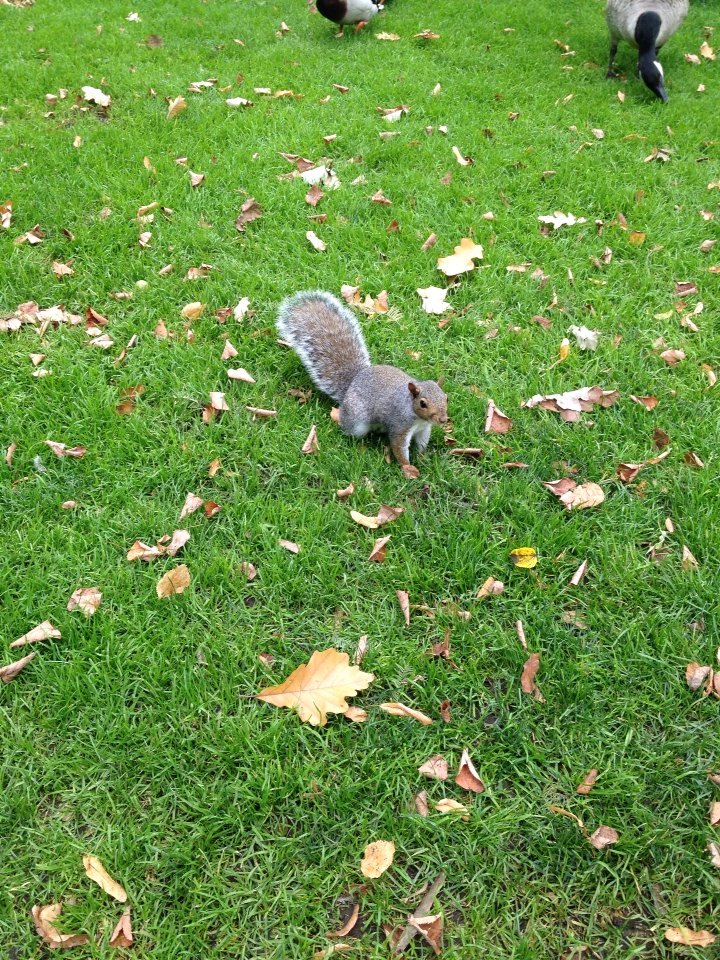 2014-10-15-00-19-55