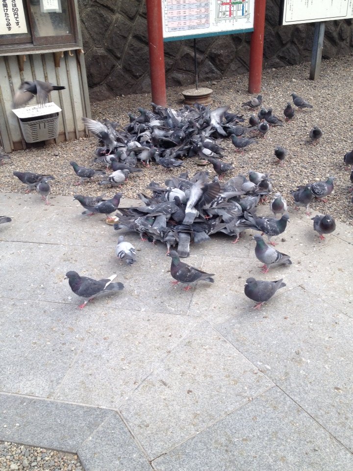 2015-03-06-15-34-56