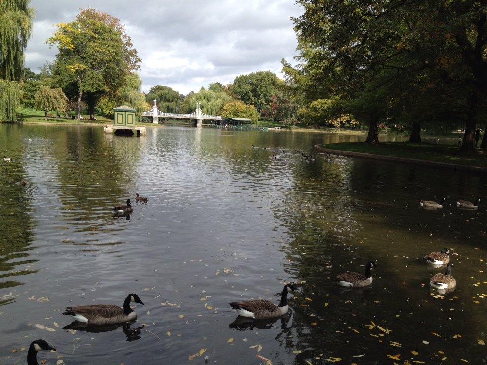 2014-10-15-00-15-29