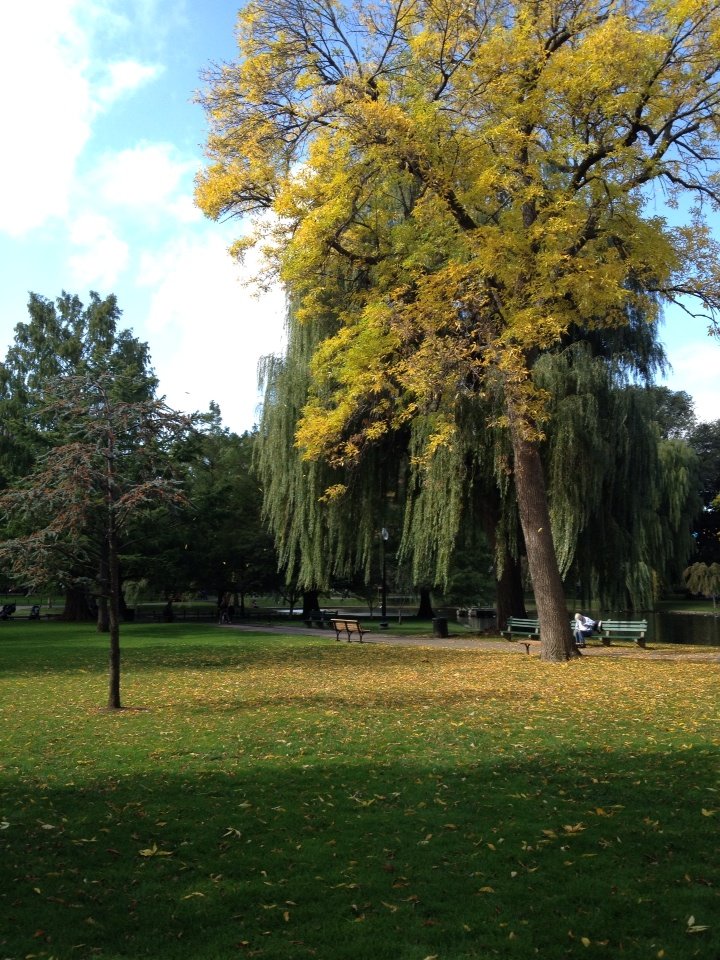 2014-10-15-00-28-27