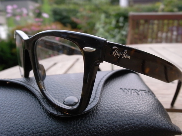 wayfarer02