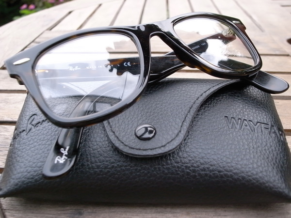 wayfarer01