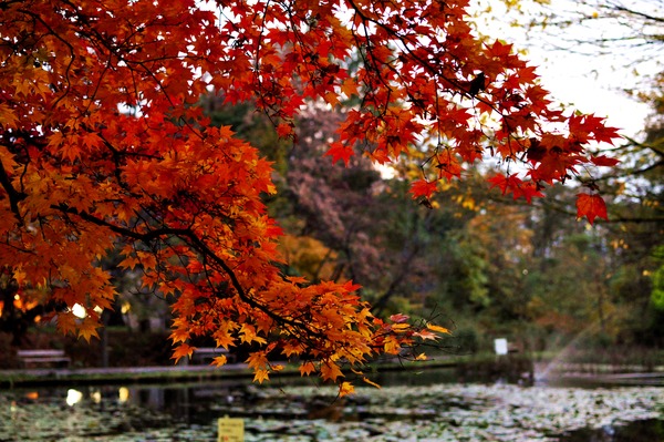 fall2011
