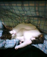 20041226_1752_001.jpg