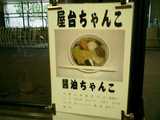 ちゃんこ屋台