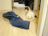 050912疲れた