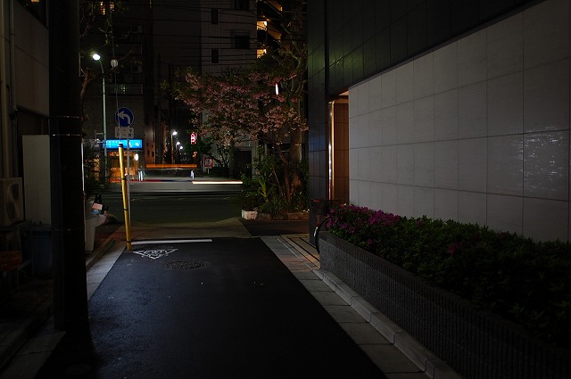 DSC_0038