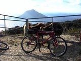 牛と八丈小島