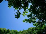 清澄庭園2