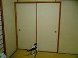 完成