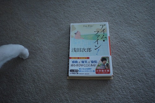 P1020232