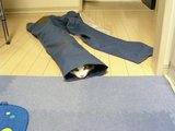 050912見えてる2