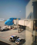 20050606_1538_000.jpg