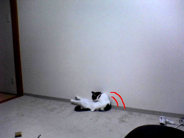 腹筋