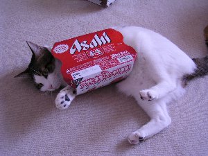 051113かろ2