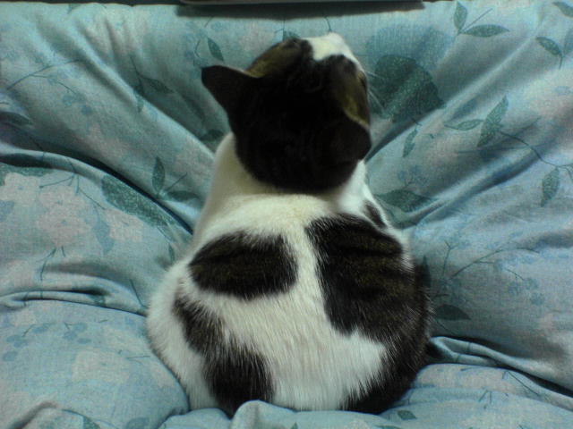 かろ