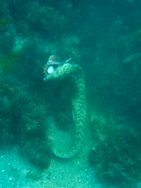 R0012591