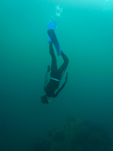 R0013732