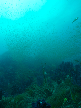 R0013480