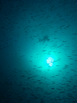 R0013418