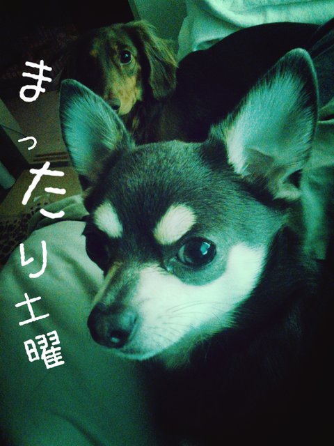 2014-05-17-12-46-03_deco