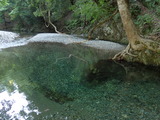 新しい水浴び場