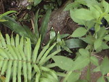 9755ea7b.JPG